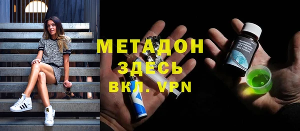 сатива Бородино