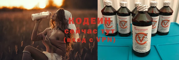 сатива Бородино