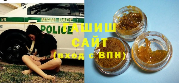 сатива Бородино