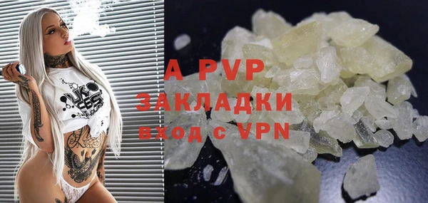 метадон Богданович