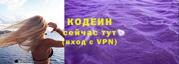 сатива Бородино