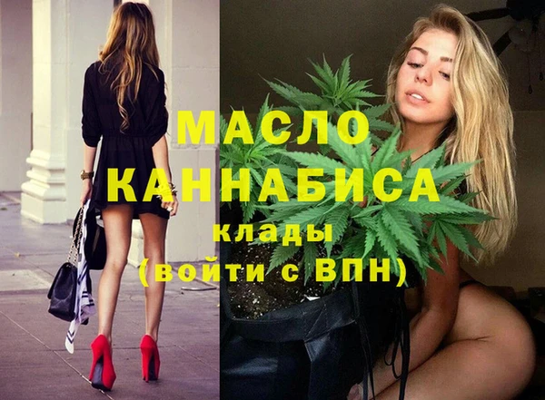 ECSTASY Богородицк