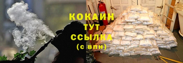метадон Богданович
