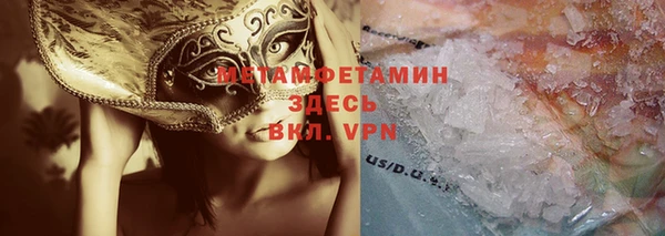 сатива Бородино